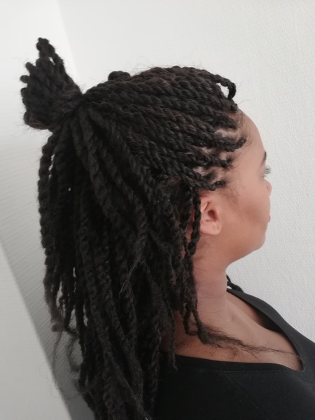salon de coiffure afro tresse tresses box braids crochet braids vanilles tissages paris 75 77 78 91 92 93 94 95 PXAGFZRG