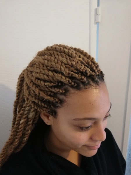 salon de coiffure afro tresse tresses box braids crochet braids vanilles tissages paris 75 77 78 91 92 93 94 95 TWKSQEYT