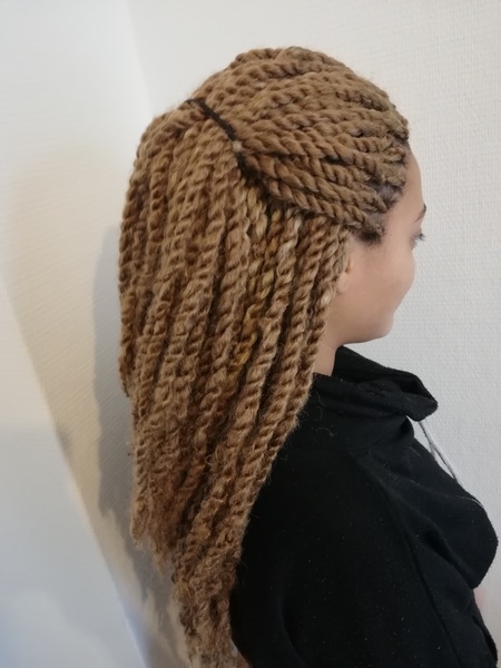 salon de coiffure afro tresse tresses box braids crochet braids vanilles tissages paris 75 77 78 91 92 93 94 95 JUNHSMKB