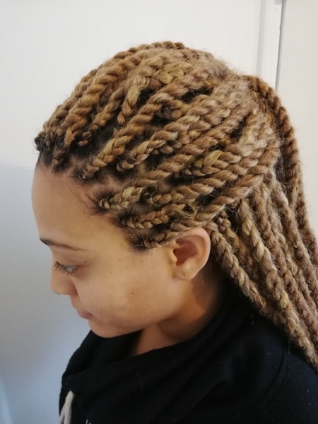 salon de coiffure afro tresse tresses box braids crochet braids vanilles tissages paris 75 77 78 91 92 93 94 95 EJLYOCXF
