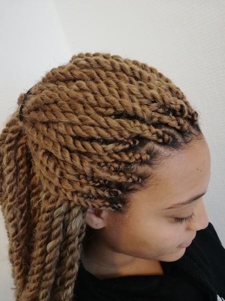 salon de coiffure afro tresse tresses box braids crochet braids vanilles tissages paris 75 77 78 91 92 93 94 95 JNTIJUSG