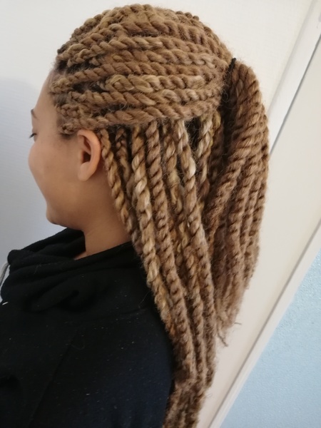 salon de coiffure afro tresse tresses box braids crochet braids vanilles tissages paris 75 77 78 91 92 93 94 95 OZYIABPK