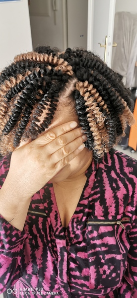 salon de coiffure afro tresse tresses box braids crochet braids vanilles tissages paris 75 77 78 91 92 93 94 95 JLYDHACH