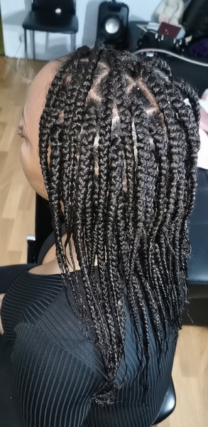 salon de coiffure afro tresse tresses box braids crochet braids vanilles tissages paris 75 77 78 91 92 93 94 95 ELYFNRFA