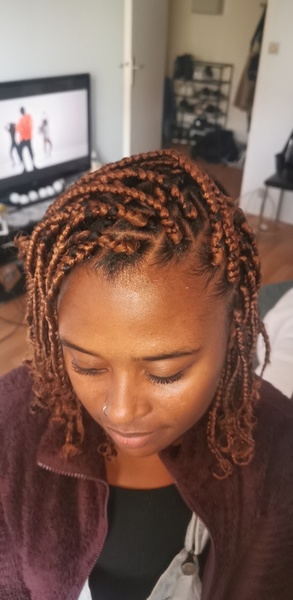 salon de coiffure afro tresse tresses box braids crochet braids vanilles tissages paris 75 77 78 91 92 93 94 95 FRJTQUNO