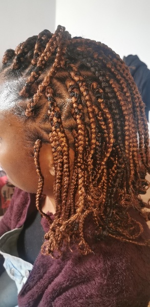 salon de coiffure afro tresse tresses box braids crochet braids vanilles tissages paris 75 77 78 91 92 93 94 95 ZYTKMNIU