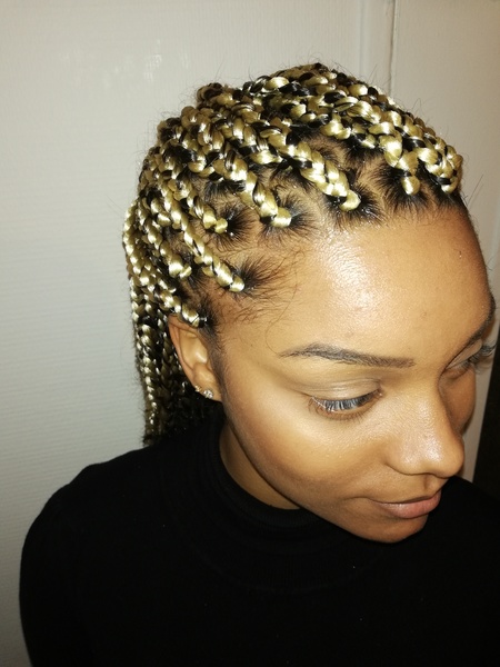 salon de coiffure afro tresse tresses box braids crochet braids vanilles tissages paris 75 77 78 91 92 93 94 95 KTPHRNPC