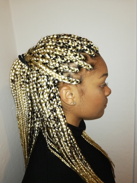 salon de coiffure afro tresse tresses box braids crochet braids vanilles tissages paris 75 77 78 91 92 93 94 95 GRNVRGTJ