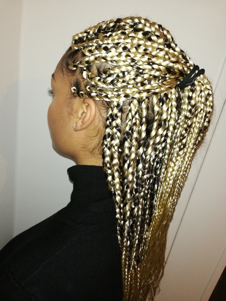 salon de coiffure afro tresse tresses box braids crochet braids vanilles tissages paris 75 77 78 91 92 93 94 95 PFHGGEGS