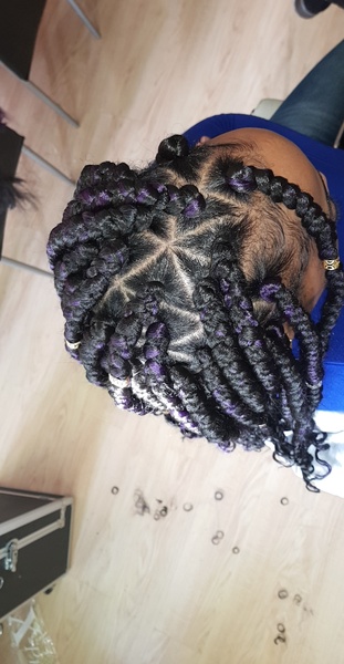 salon de coiffure afro tresse tresses box braids crochet braids vanilles tissages paris 75 77 78 91 92 93 94 95 OSWNYUXY