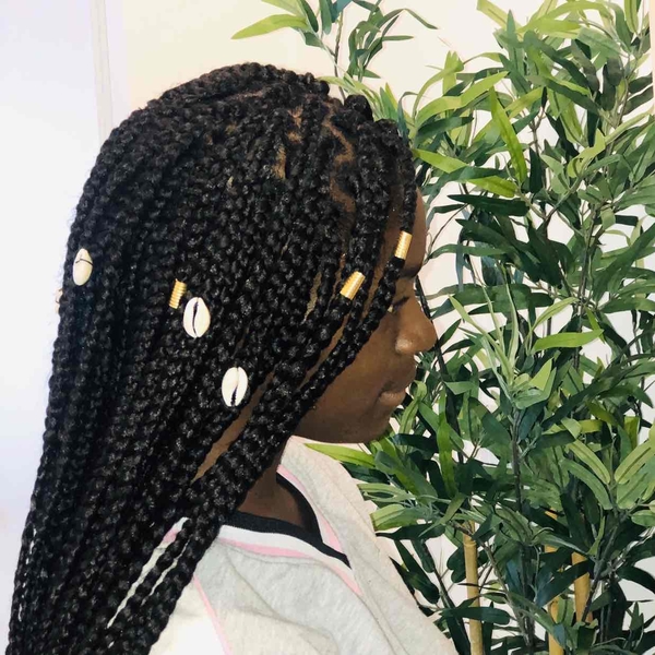 salon de coiffure afro tresse tresses box braids crochet braids vanilles tissages paris 75 77 78 91 92 93 94 95 PGPJYBAS