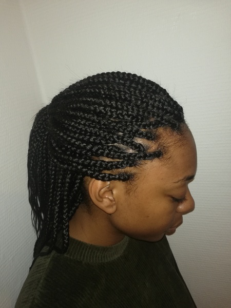 salon de coiffure afro tresse tresses box braids crochet braids vanilles tissages paris 75 77 78 91 92 93 94 95 DDPHYAQP