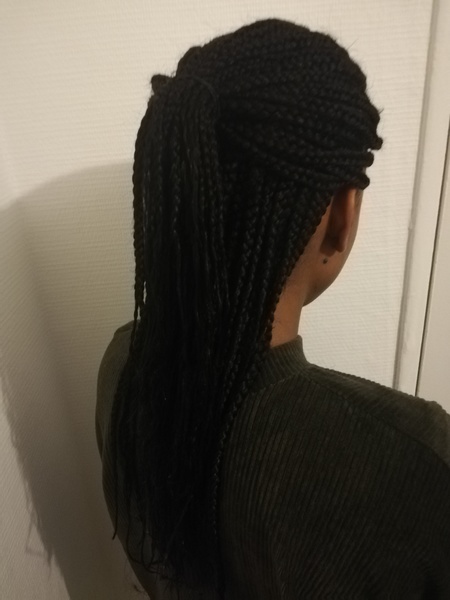 salon de coiffure afro tresse tresses box braids crochet braids vanilles tissages paris 75 77 78 91 92 93 94 95 RFYXKUEY