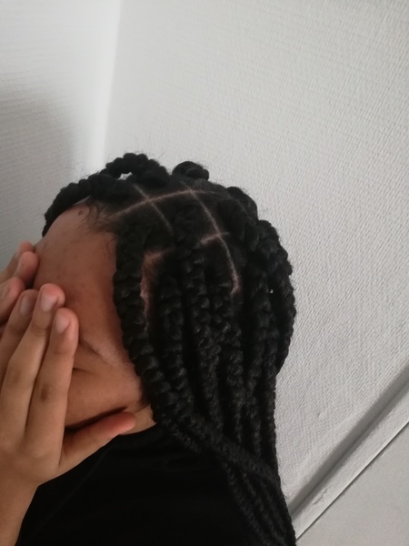 salon de coiffure afro tresse tresses box braids crochet braids vanilles tissages paris 75 77 78 91 92 93 94 95 DCFKBQCV