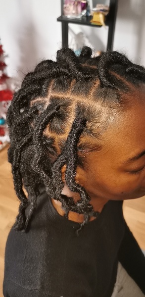 salon de coiffure afro tresse tresses box braids crochet braids vanilles tissages paris 75 77 78 91 92 93 94 95 IDPCVIQR