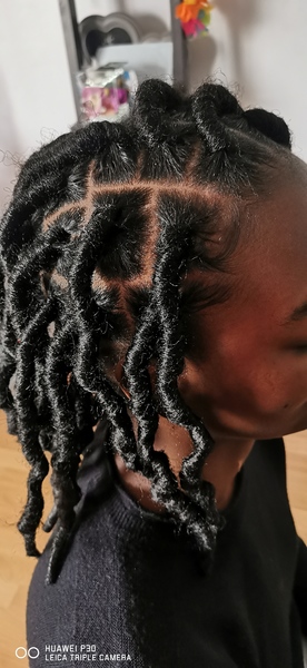 salon de coiffure afro tresse tresses box braids crochet braids vanilles tissages paris 75 77 78 91 92 93 94 95 DZLOIDQN