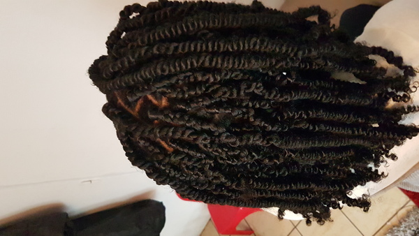 salon de coiffure afro tresse tresses box braids crochet braids vanilles tissages paris 75 77 78 91 92 93 94 95 DXPKFCBF