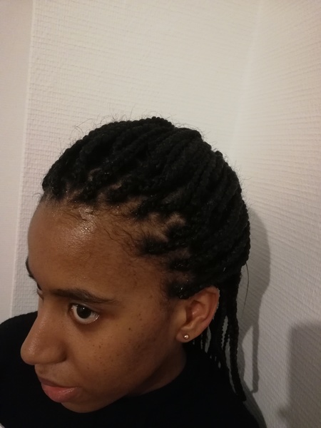 salon de coiffure afro tresse tresses box braids crochet braids vanilles tissages paris 75 77 78 91 92 93 94 95 JBORVXTK