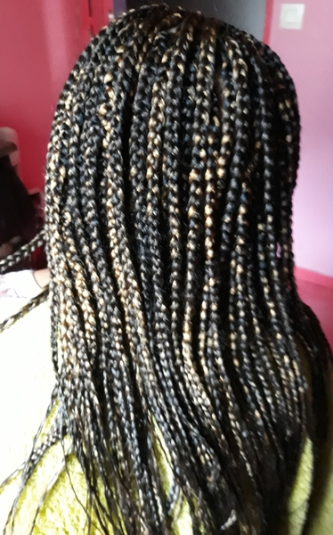 salon de coiffure afro tresse tresses box braids crochet braids vanilles tissages paris 75 77 78 91 92 93 94 95 TSNLQHAM
