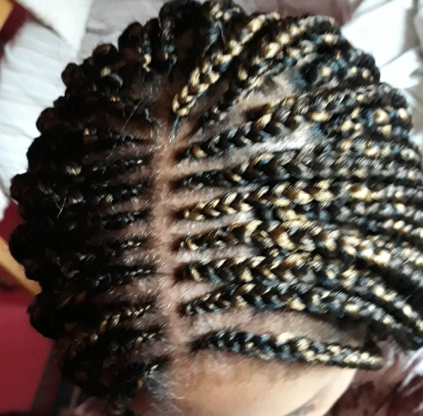 salon de coiffure afro tresse tresses box braids crochet braids vanilles tissages paris 75 77 78 91 92 93 94 95 HLBGQKBM
