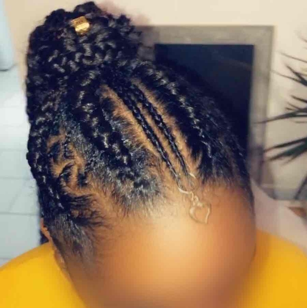 salon de coiffure afro tresse tresses box braids crochet braids vanilles tissages paris 75 77 78 91 92 93 94 95 IJMRQFLY
