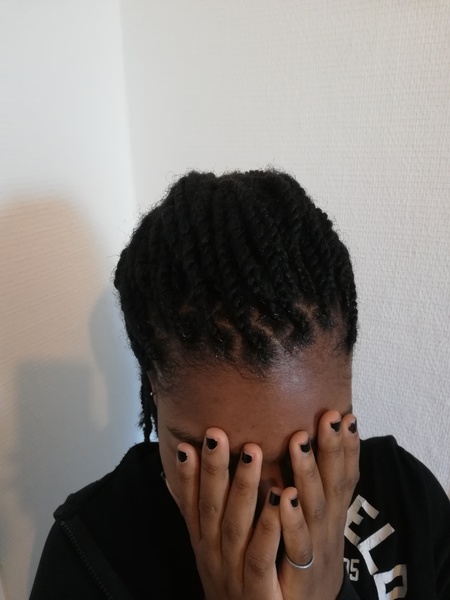 salon de coiffure afro tresse tresses box braids crochet braids vanilles tissages paris 75 77 78 91 92 93 94 95 EXWHNTKA