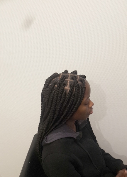 salon de coiffure afro tresse tresses box braids crochet braids vanilles tissages paris 75 77 78 91 92 93 94 95 BFTZUDIR