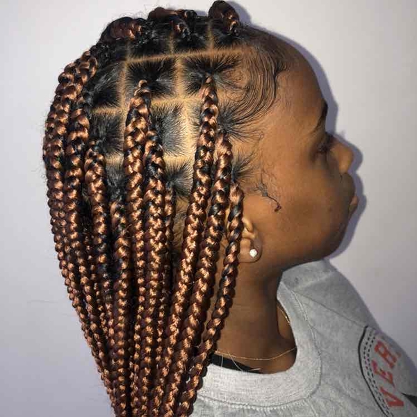 salon de coiffure afro tresse tresses box braids crochet braids vanilles tissages paris 75 77 78 91 92 93 94 95 BMBTLPGG