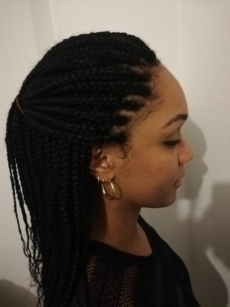 salon de coiffure afro tresse tresses box braids crochet braids vanilles tissages paris 75 77 78 91 92 93 94 95 BPCEHCTT