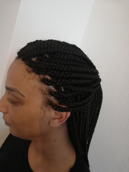 salon de coiffure afro tresse tresses box braids crochet braids vanilles tissages paris 75 77 78 91 92 93 94 95 RMTTBLJY