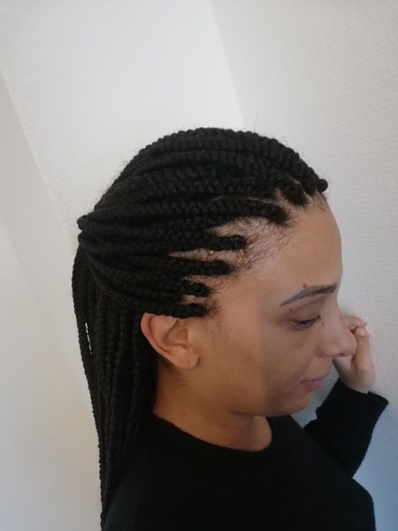 salon de coiffure afro tresse tresses box braids crochet braids vanilles tissages paris 75 77 78 91 92 93 94 95 IQNKZYHN