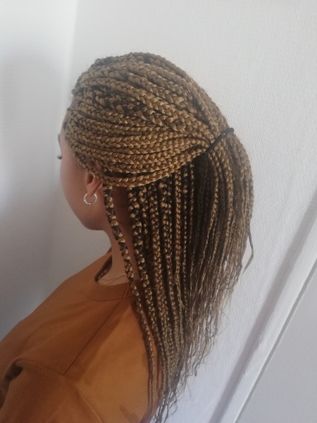 salon de coiffure afro tresse tresses box braids crochet braids vanilles tissages paris 75 77 78 91 92 93 94 95 BUTMNYYQ