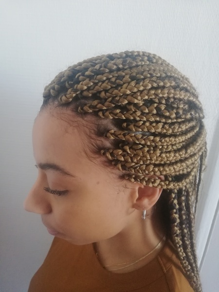 salon de coiffure afro tresse tresses box braids crochet braids vanilles tissages paris 75 77 78 91 92 93 94 95 WFGXXJJI