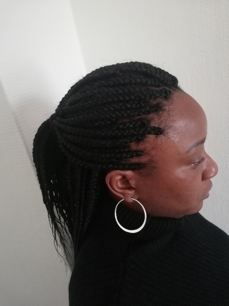 salon de coiffure afro tresse tresses box braids crochet braids vanilles tissages paris 75 77 78 91 92 93 94 95 UMCDQGEN