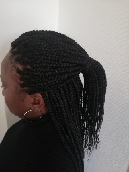 salon de coiffure afro tresse tresses box braids crochet braids vanilles tissages paris 75 77 78 91 92 93 94 95 LRGHHESZ