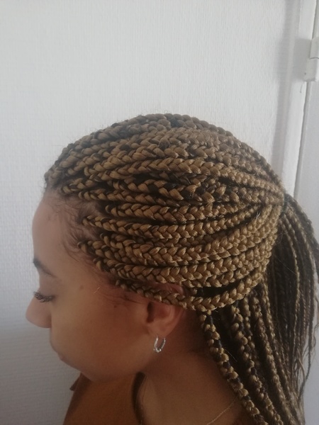 salon de coiffure afro tresse tresses box braids crochet braids vanilles tissages paris 75 77 78 91 92 93 94 95 IGZVGFNM
