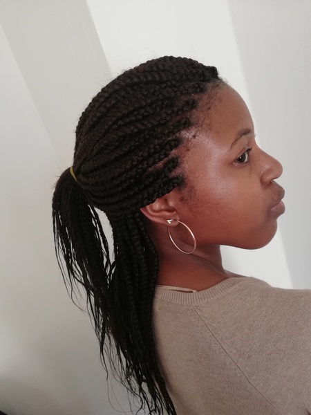 salon de coiffure afro tresse tresses box braids crochet braids vanilles tissages paris 75 77 78 91 92 93 94 95 AYDNECWM