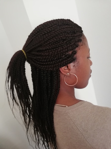 salon de coiffure afro tresse tresses box braids crochet braids vanilles tissages paris 75 77 78 91 92 93 94 95 QPUZNVIV