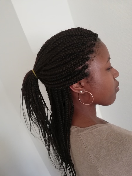 salon de coiffure afro tresse tresses box braids crochet braids vanilles tissages paris 75 77 78 91 92 93 94 95 WGSKLNIA
