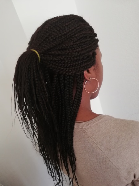 salon de coiffure afro tresse tresses box braids crochet braids vanilles tissages paris 75 77 78 91 92 93 94 95 CMZAJCBD