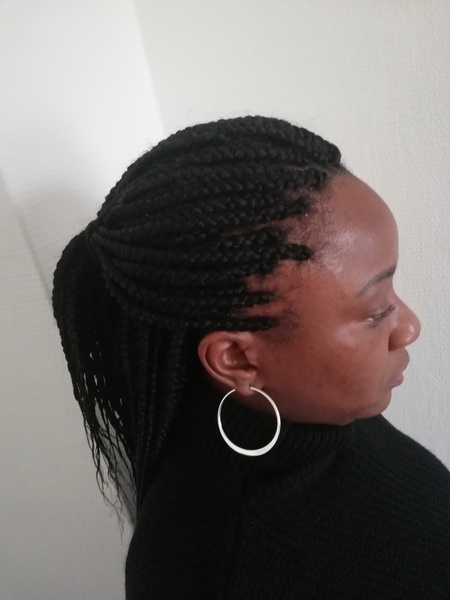 salon de coiffure afro tresse tresses box braids crochet braids vanilles tissages paris 75 77 78 91 92 93 94 95 GTLINFDM