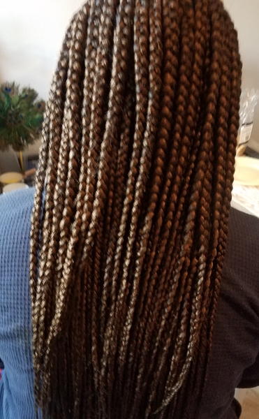 salon de coiffure afro tresse tresses box braids crochet braids vanilles tissages paris 75 77 78 91 92 93 94 95 RELLMMOC