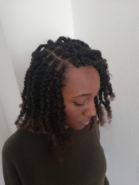 salon de coiffure afro tresse tresses box braids crochet braids vanilles tissages paris 75 77 78 91 92 93 94 95 GJLXSKCZ