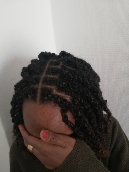 salon de coiffure afro tresse tresses box braids crochet braids vanilles tissages paris 75 77 78 91 92 93 94 95 YIOUOPUE
