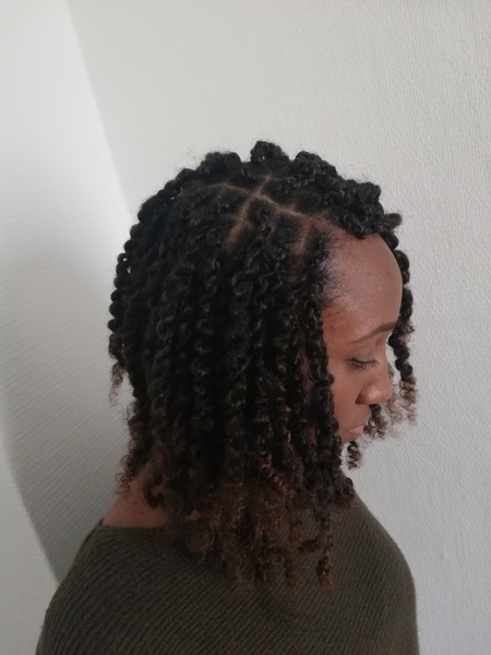 salon de coiffure afro tresse tresses box braids crochet braids vanilles tissages paris 75 77 78 91 92 93 94 95 RRFHQRGP