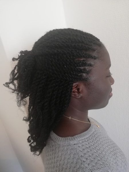salon de coiffure afro tresse tresses box braids crochet braids vanilles tissages paris 75 77 78 91 92 93 94 95 MJLMFHCS