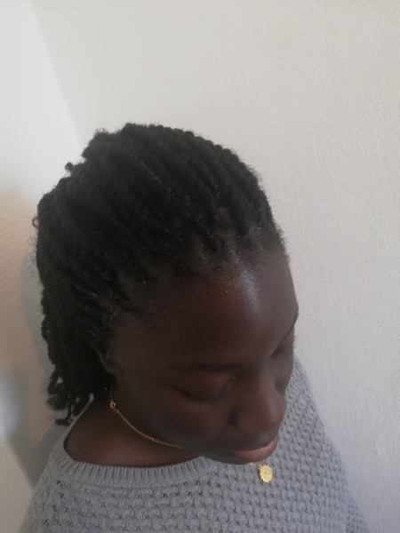 salon de coiffure afro tresse tresses box braids crochet braids vanilles tissages paris 75 77 78 91 92 93 94 95 YVJGVIST