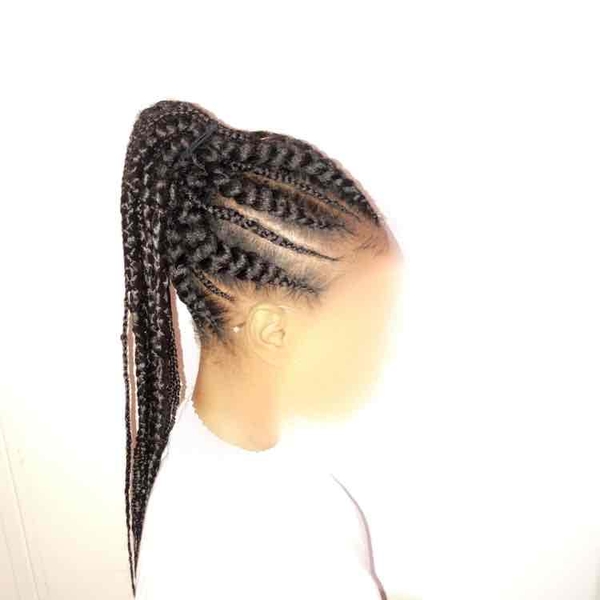 salon de coiffure afro tresse tresses box braids crochet braids vanilles tissages paris 75 77 78 91 92 93 94 95 ZPXDEIDX