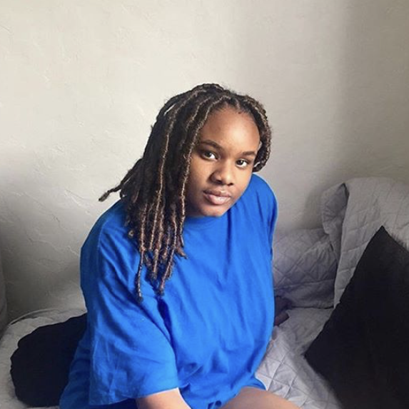 salon de coiffure afro tresse tresses box braids crochet braids vanilles tissages paris 75 77 78 91 92 93 94 95 QUSUHZSV
