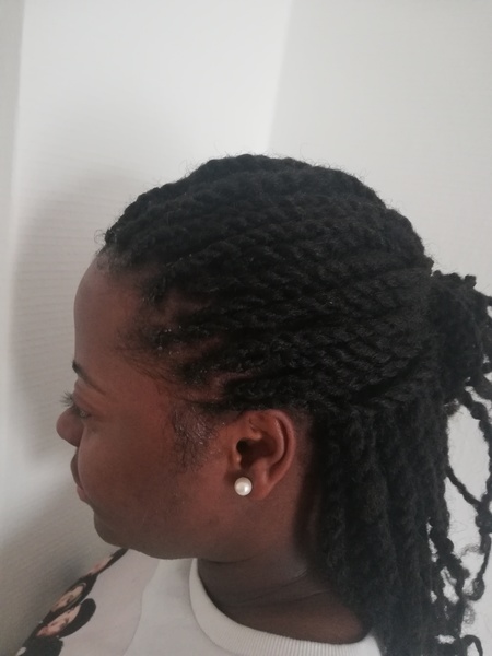 salon de coiffure afro tresse tresses box braids crochet braids vanilles tissages paris 75 77 78 91 92 93 94 95 BVLVRQBD